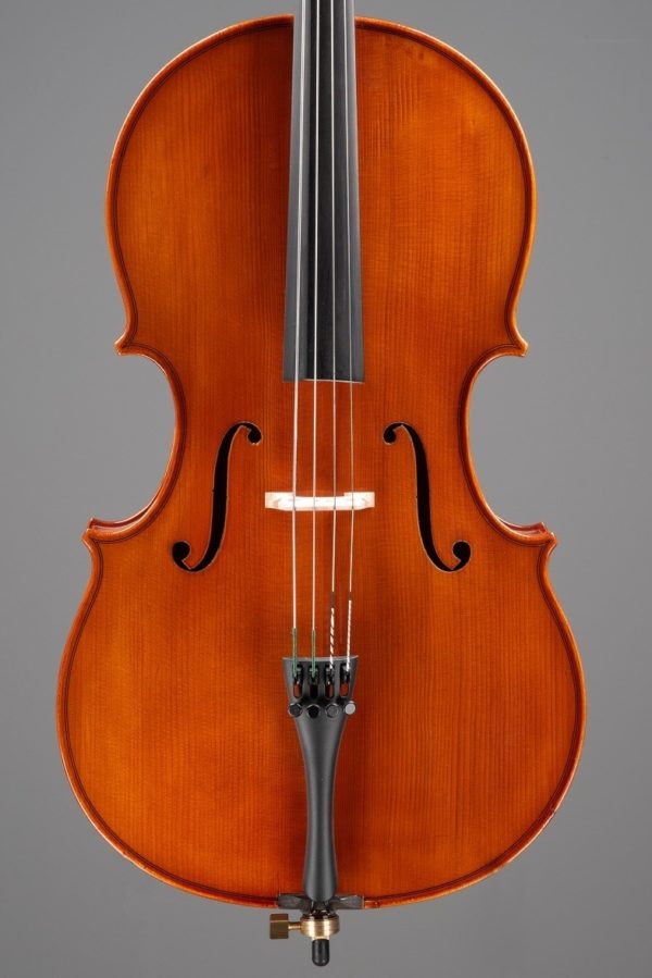 Halo Cello Eastman Student Instrument Violin Viola Affordable
