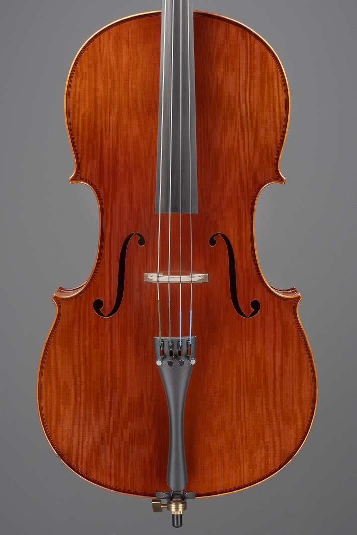 Allegro Cello Student Instrument