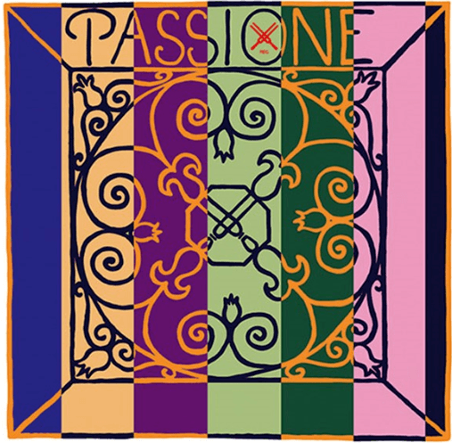 Passione Solo Violin E String