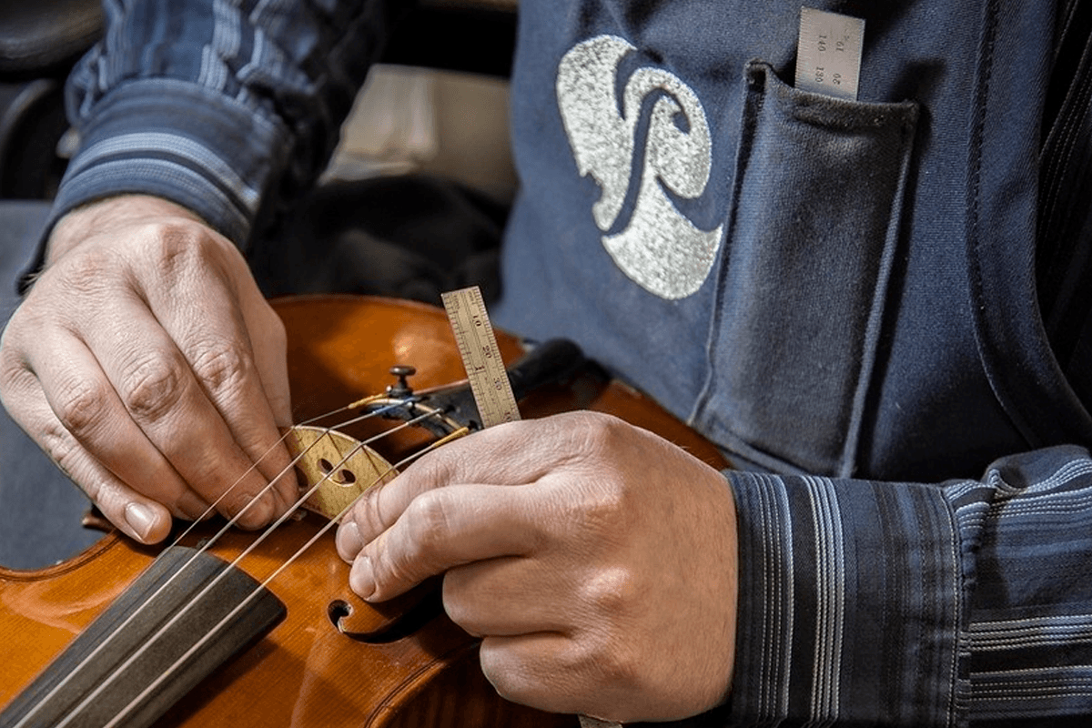 Fine Violins, Violas, Cellos and Bows Potter Violins