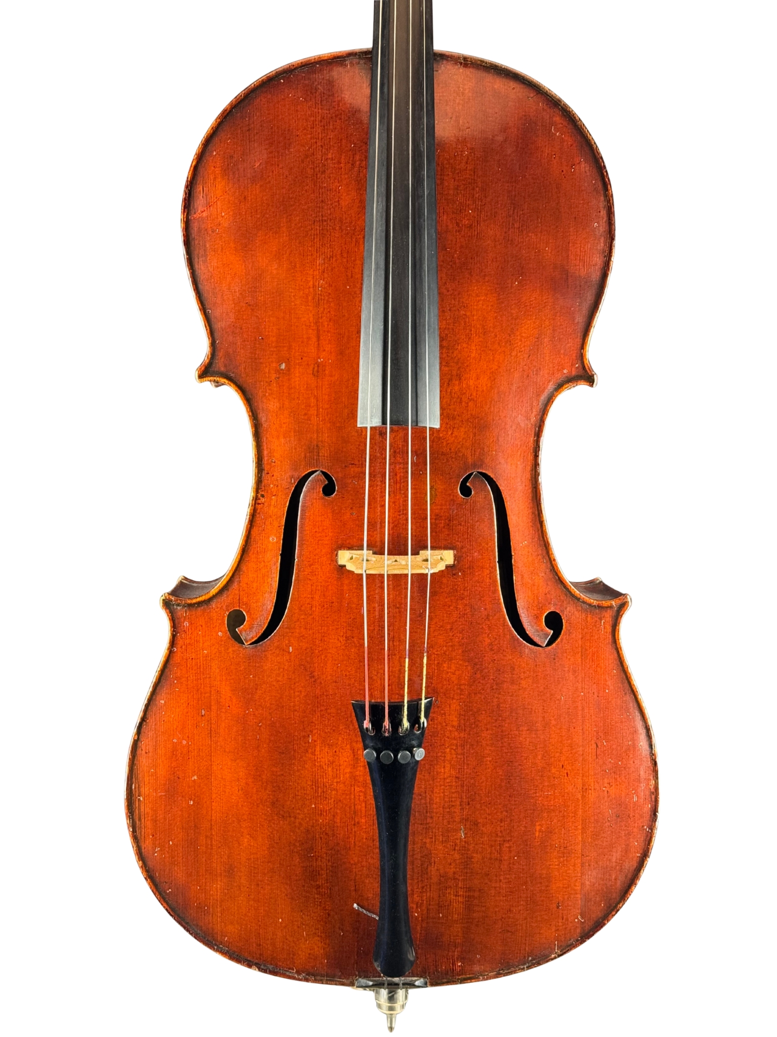 German Cello labeled Stefano Scarampella Top